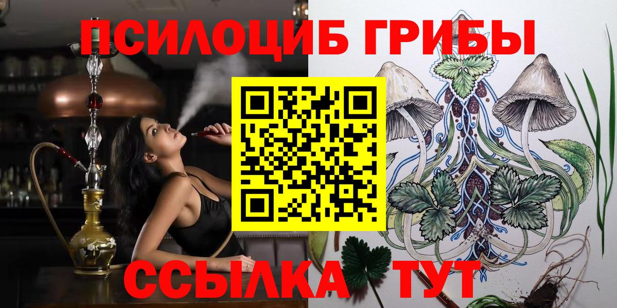 Псилоцибиновые грибы прущие грибы Котлас