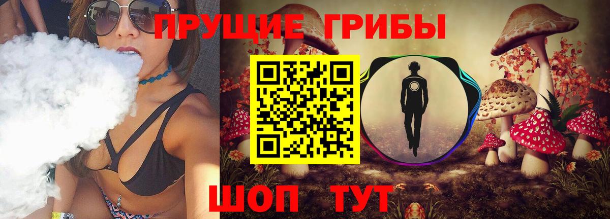 Псилоцибиновые грибы мухоморы  купить наркотики цена  Котлас  Вход с VPN 